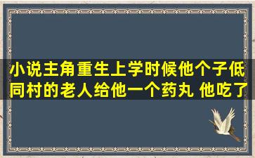 小说主角重生上学时候他个子低 同村的老人给他一个药丸 他吃了以后...