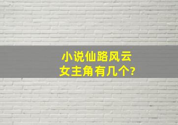 小说仙路风云女主角有几个?