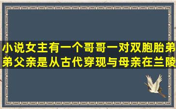 小说女主有一个哥哥,一对双胞胎弟弟,父亲是从古代穿现与母亲在兰陵