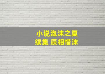 小说泡沫之夏续集 辰相惜沫