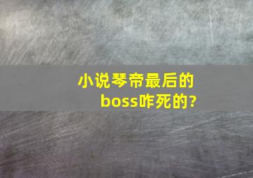 小说琴帝最后的boss咋死的?