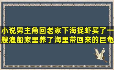 小说男主角回老家下海捉虾买了一艘渔船家里养了海里带回来的巨龟...