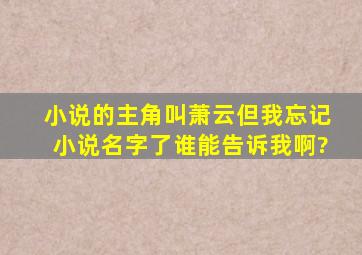 小说的主角叫萧云,但我忘记小说名字了,谁能告诉我啊?