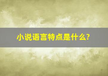 小说语言特点是什么?