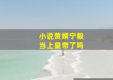 小说赘婿宁毅当上皇帝了吗