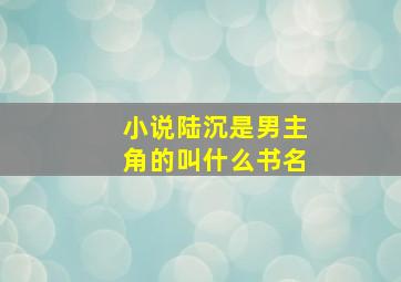 小说陆沉是男主角的叫什么书名