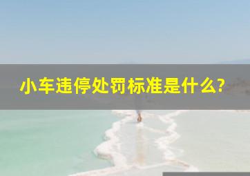 小车违停处罚标准是什么?