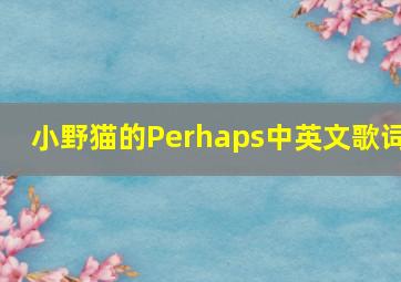 小野猫的Perhaps中英文歌词