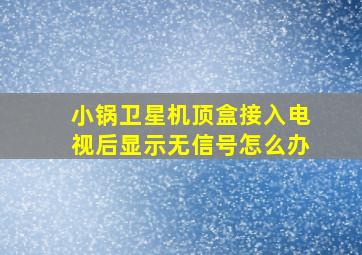 小锅卫星机顶盒接入电视后显示无信号,怎么办