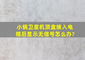 小锅卫星机顶盒接入电视后显示无信号,怎么办?