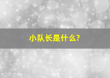 小队长是什么?