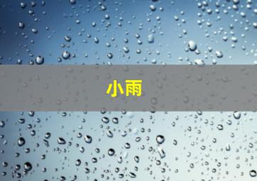 小雨( )