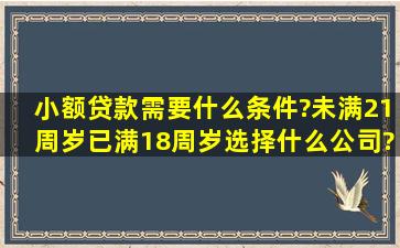 小额贷款需要什么条件?未满21周岁已满18周岁选择什么公司?