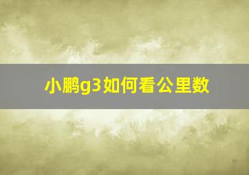 小鹏g3如何看公里数(