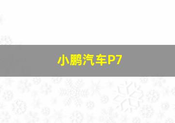 小鹏汽车P7