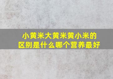 小黄米大黄米黄小米的区别是什么(哪个营养最好(