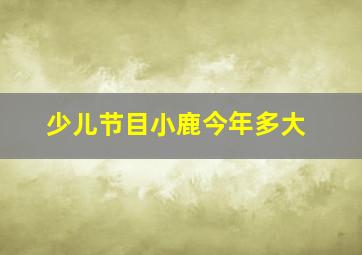 少儿节目小鹿今年多大