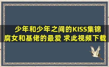 少年和少年之间的KISS集锦 腐女和基佬的最爱 求此视频下载地址 或者...