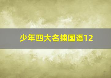 少年四大名捕国语12