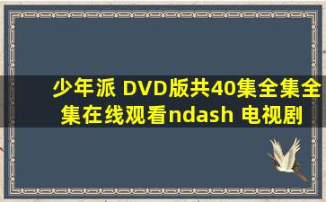 少年派 DVD版(共40集全集)  全集在线观看– 电视剧 