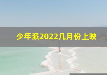 少年派2022几月份上映