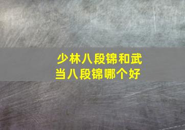 少林八段锦和武当八段锦哪个好 