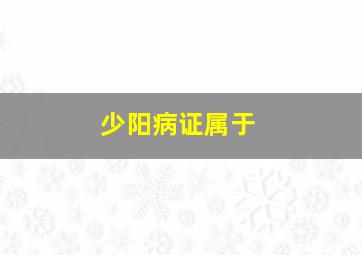 少阳病证属于()