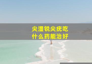 尖湿锐尖疣吃什么药能治好