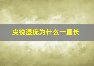 尖锐湿疣为什么一直长