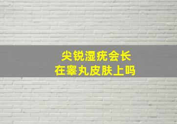 尖锐湿疣会长在睾丸皮肤上吗