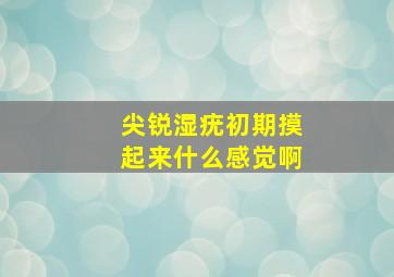 尖锐湿疣初期摸起来什么感觉啊