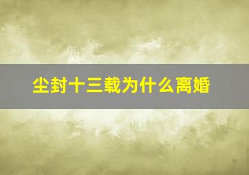 尘封十三载为什么离婚