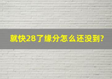 就快28了,缘分怎么还没到?