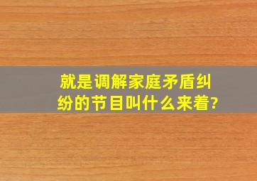 就是调解家庭矛盾纠纷的节目叫什么来着?