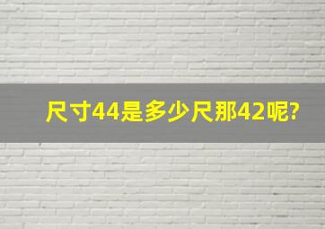 尺寸44是多少尺那42呢?