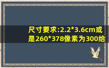 尺寸要求:2.2*3.6cm或是260*378像素为300。给解释下怎么个意思啊