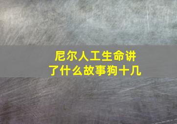 尼尔人工生命讲了什么故事狗十几