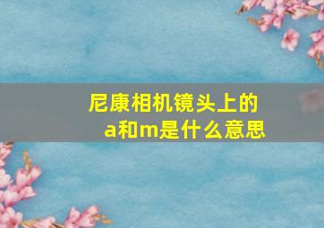 尼康相机镜头上的a和m是什么意思