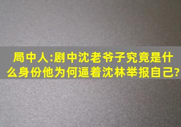 局中人:剧中沈老爷子究竟是什么身份,他为何逼着沈林举报自己?