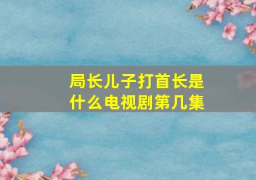 局长儿子打首长是什么电视剧第几集