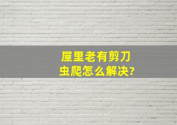 屋里老有剪刀虫爬怎么解决?