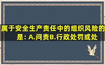 属于安全生产责任中的组织风险的是: 。()A.问责B.行政处罚或处分C...