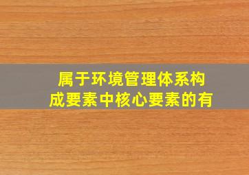 属于环境管理体系构成要素中核心要素的有()。