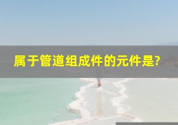 属于管道组成件的元件是()?