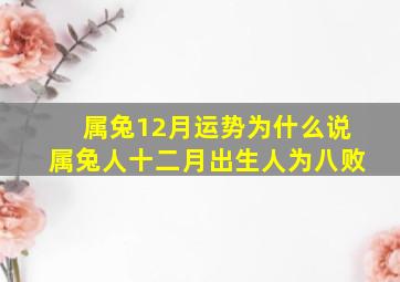 属兔12月运势,为什么说属兔人十二月出生人为八败