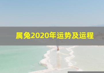 属兔2020年运势及运程