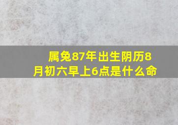 属兔87年出生阴历8月初六早上6点是什么命