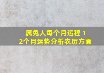 属兔人每个月运程 12个月运势分析农历方面