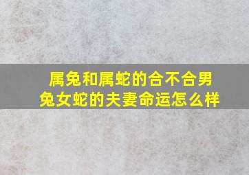 属兔和属蛇的合不合男兔女蛇的夫妻命运怎么样