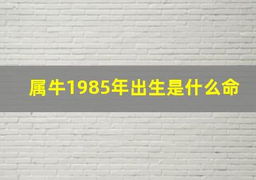 属牛1985年出生是什么命